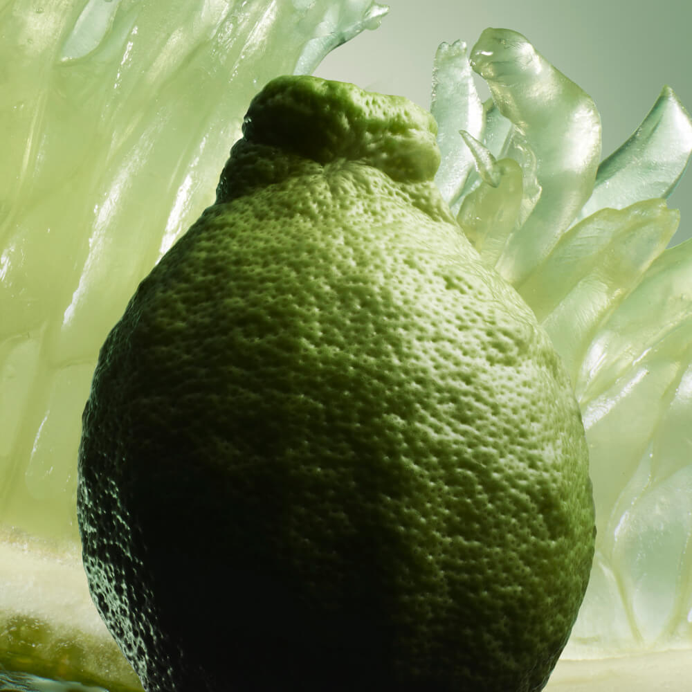 PRADA PARADIGME EAU DE PARFUM (SET DE FRAGANCIAS)